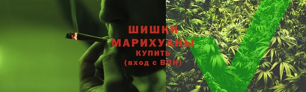 прущие грибы Алзамай